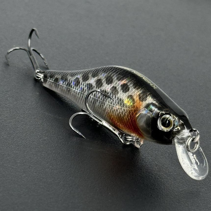 49f12ed8e30e38e570fc263589b22190