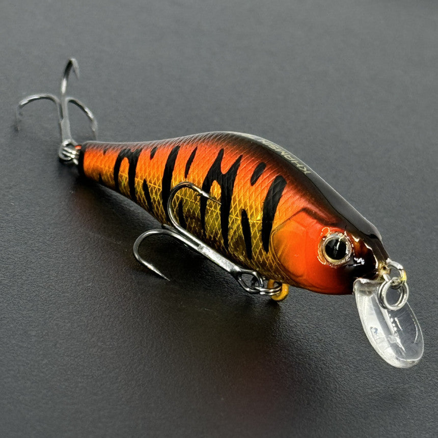 95408a854baa551a486471f46d35c73e