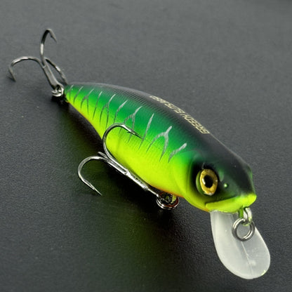 091019164007db055b3fb0c1bd697550