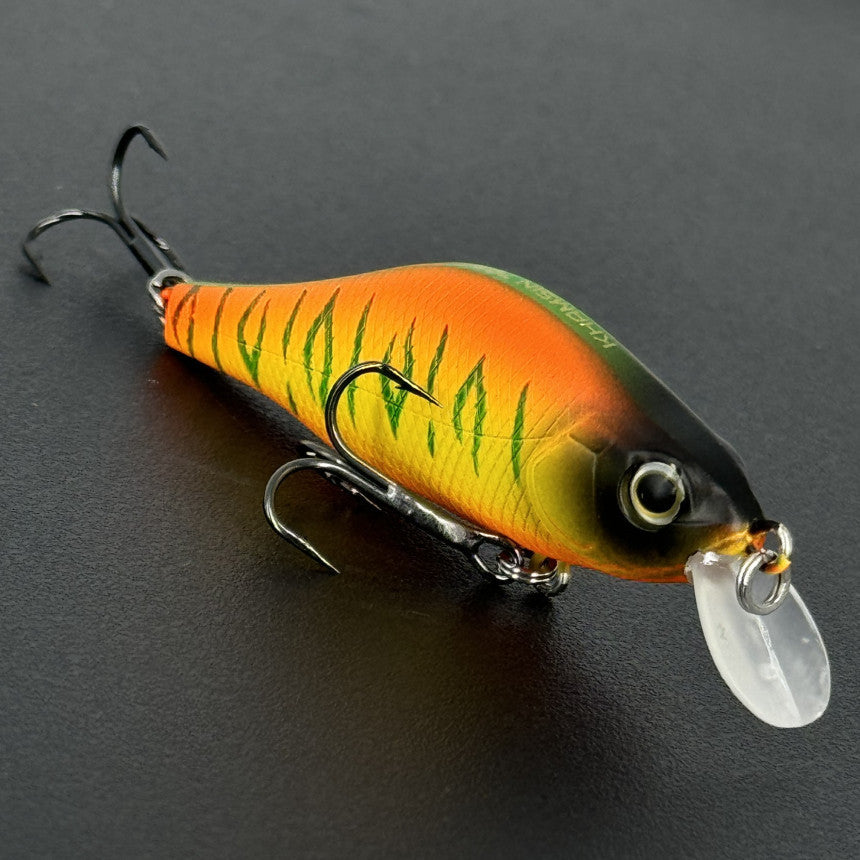 b5249dadff3fb3f4414a4604534dc81b