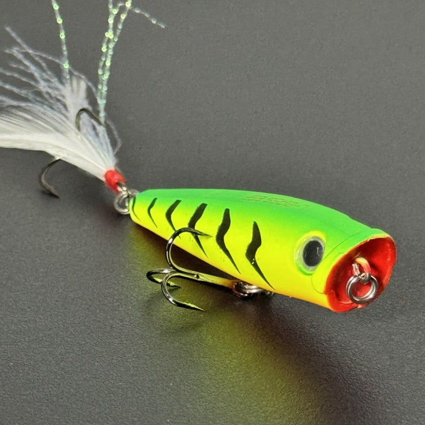 75c51f5e0b1bfa2dead4dbb2a9345946