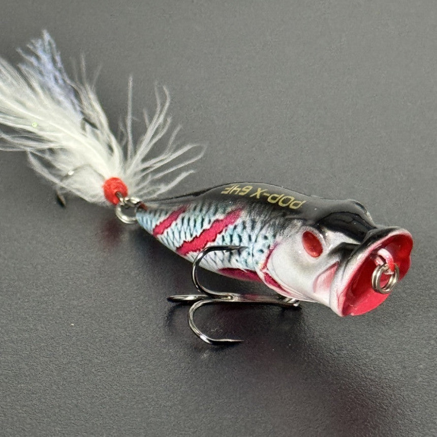 db88e021f01c2c1f44401c05d288d50a