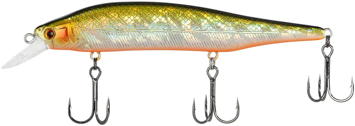 6ec61361cde9bf5d474983e4be929277