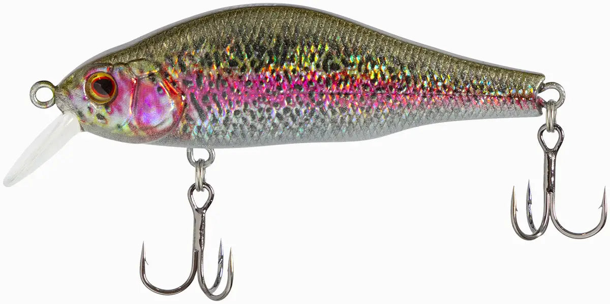 fb8efb0b247040479bc92e97da20dad5