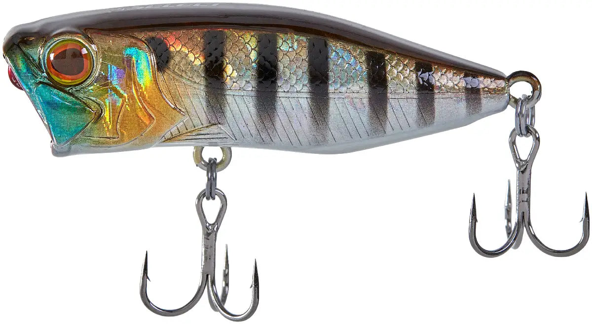 0b387baf042337f8b6f9dec72fa294e6