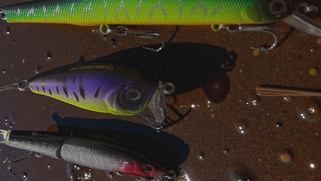 Load video: Ignite theme